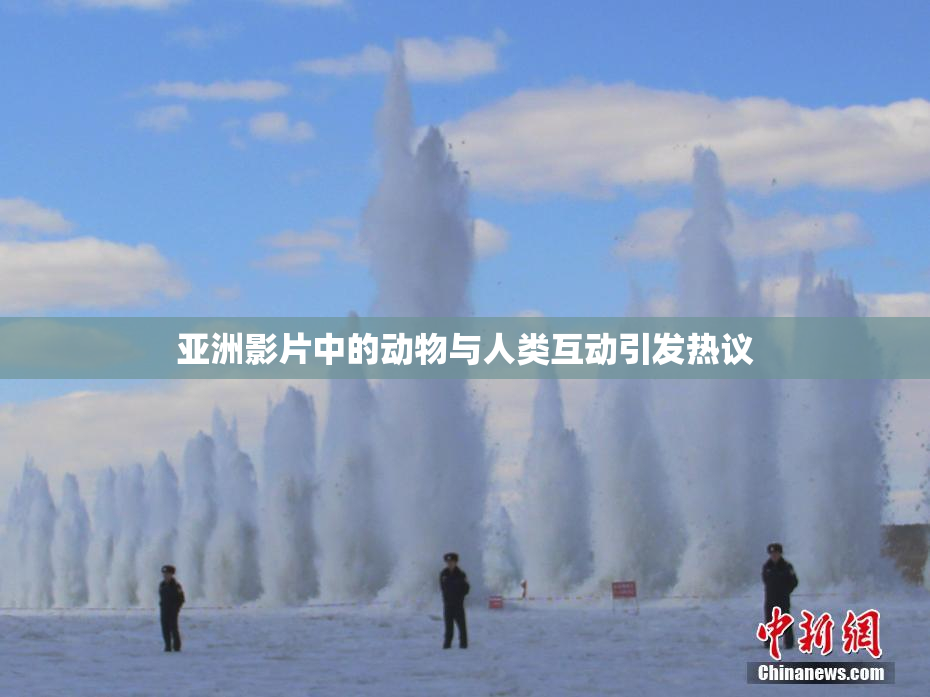 亚洲影片中的动物与人类互动引发热议
