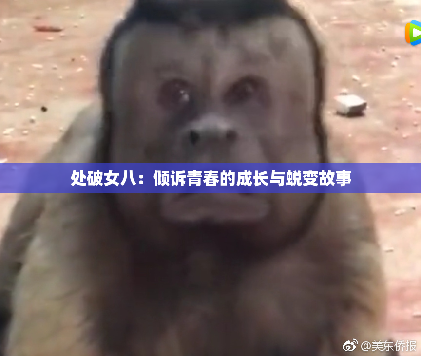 处破女八：倾诉青春的成长与蜕变故事