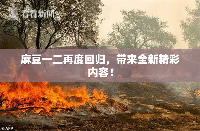 麻豆一二再度回归，带来全新精彩内容！