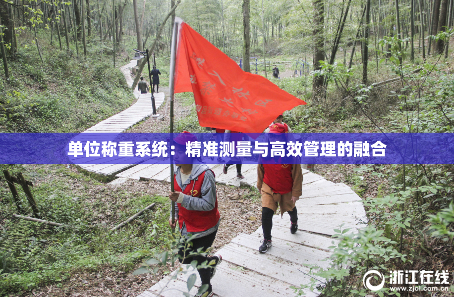 单位称重系统：精准测量与高效管理的融合