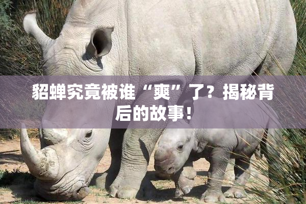 貂蝉究竟被谁“爽”了？揭秘背后的故事！