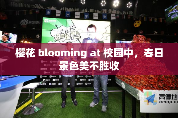 樱花 blooming at 校园中，春日景色美不胜收