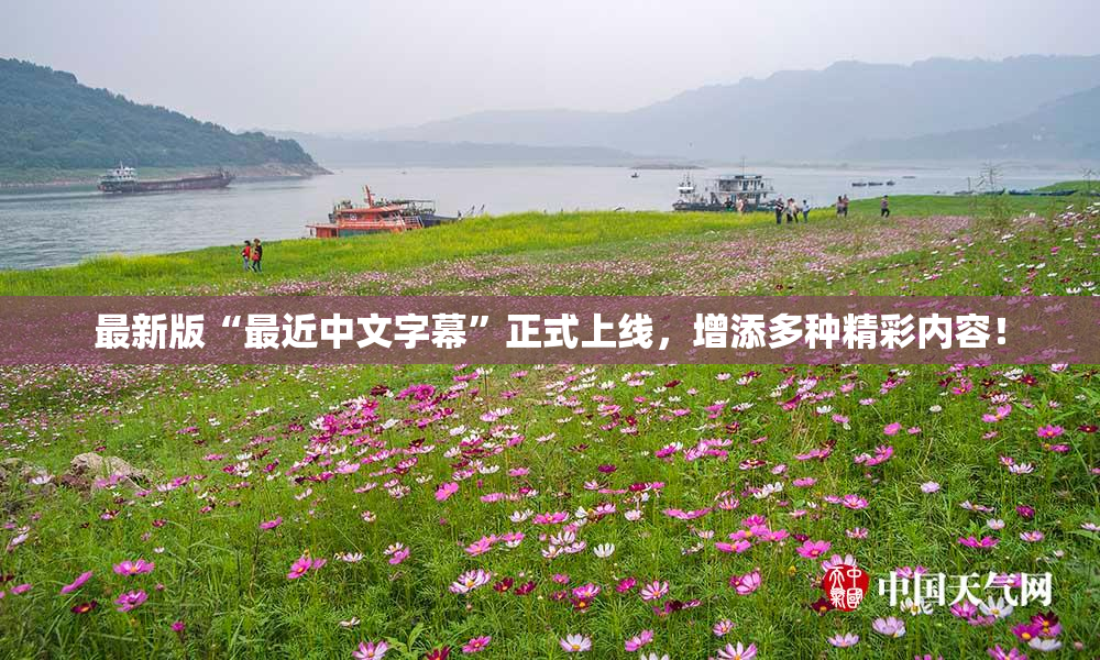 最新版“最近中文字幕”正式上线，增添多种精彩内容！