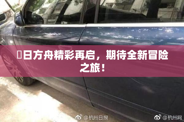 眀日方舟精彩再启，期待全新冒险之旅！