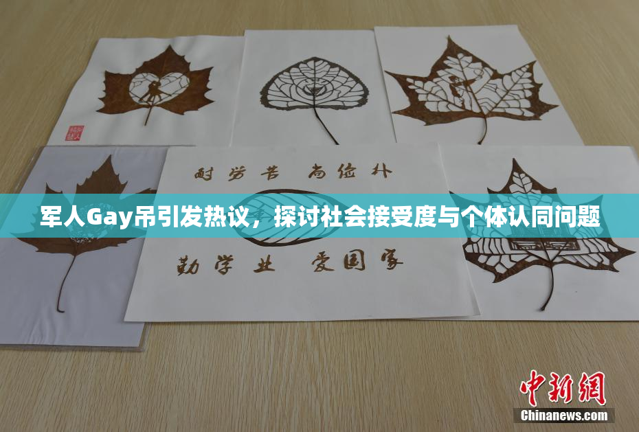 军人Gay吊引发热议，探讨社会接受度与个体认同问题