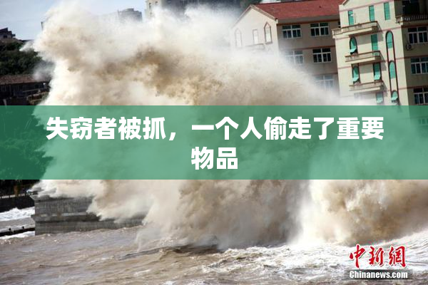 失窃者被抓，一个人偷走了重要物品