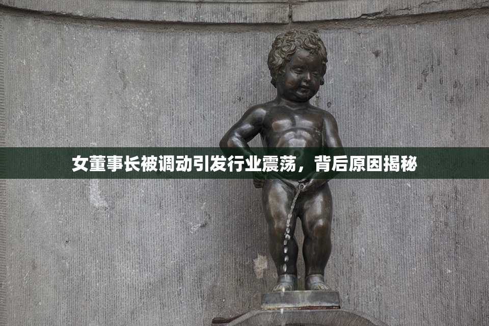 女董事长被调动引发行业震荡，背后原因揭秘