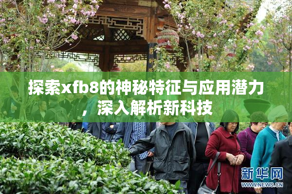 探索xfb8的神秘特征与应用潜力，深入解析新科技