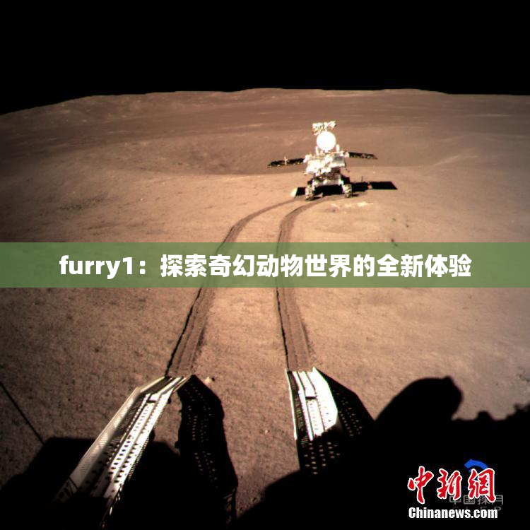 furry1：探索奇幻动物世界的全新体验
