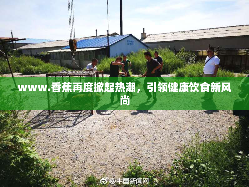 www.香蕉再度掀起热潮，引领健康饮食新风尚