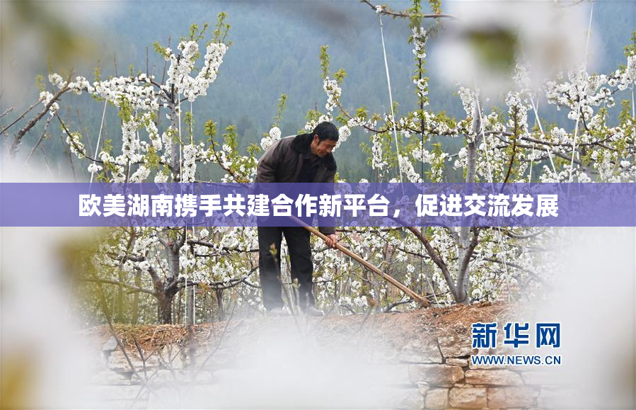 欧美湖南携手共建合作新平台，促进交流发展