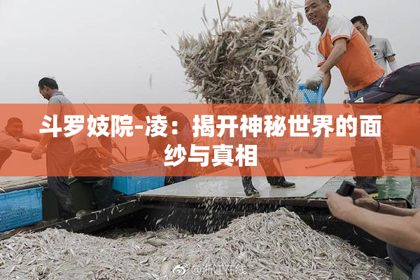 斗罗妓院-凌：揭开神秘世界的面纱与真相