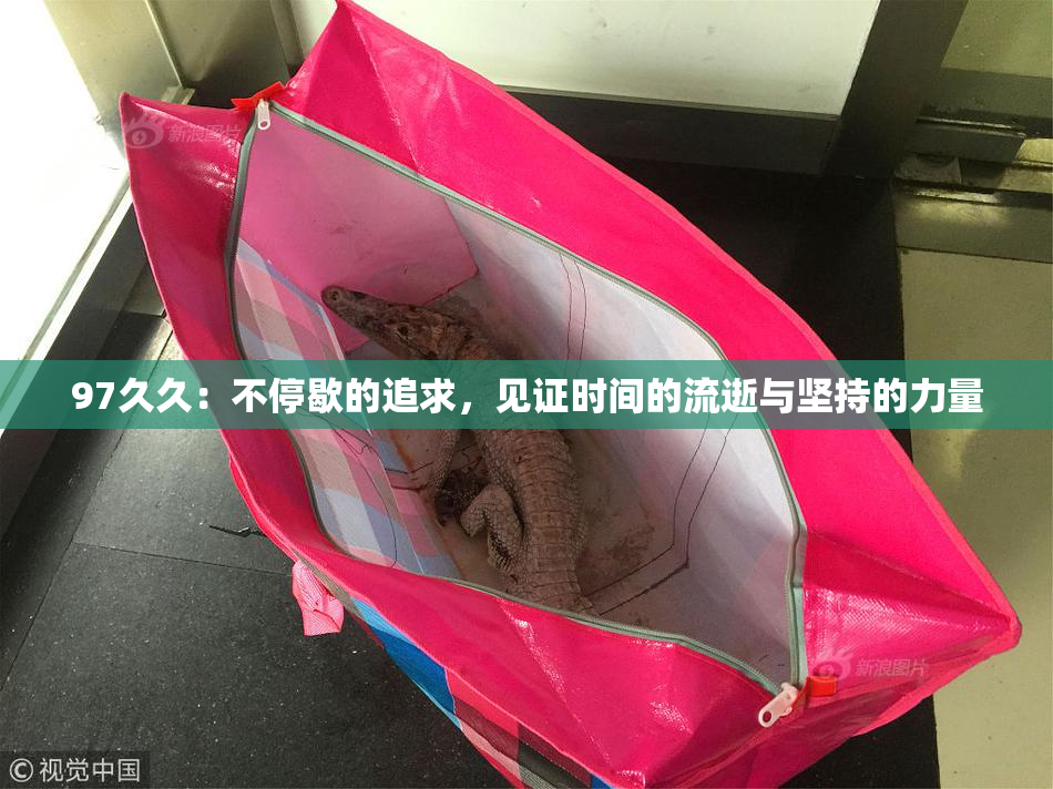 97久久：不停歇的追求，见证时间的流逝与坚持的力量