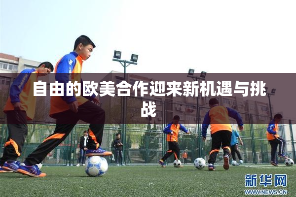自由的欧美合作迎来新机遇与挑战