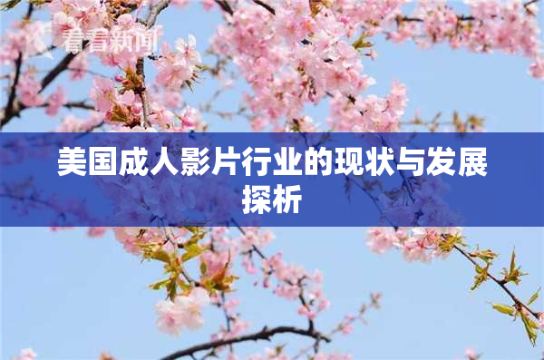 美国成人影片行业的现状与发展探析