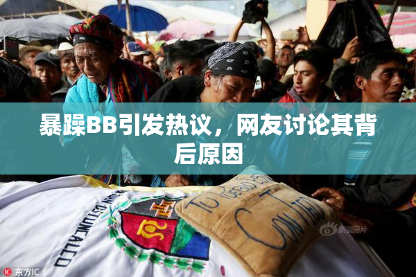 暴躁BB引发热议，网友讨论其背后原因