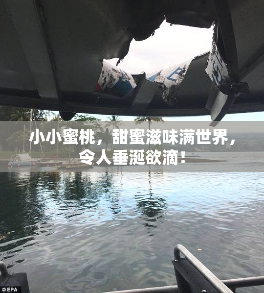 小小蜜桃，甜蜜滋味满世界，令人垂涎欲滴！