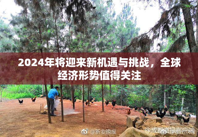 2024年将迎来新机遇与挑战，全球经济形势值得关注