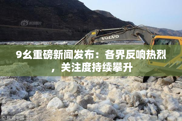9幺重磅新闻发布：各界反响热烈，关注度持续攀升