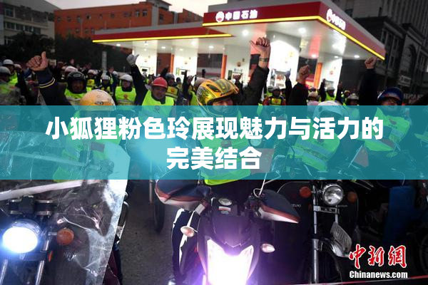 小狐狸粉色玲展现魅力与活力的完美结合