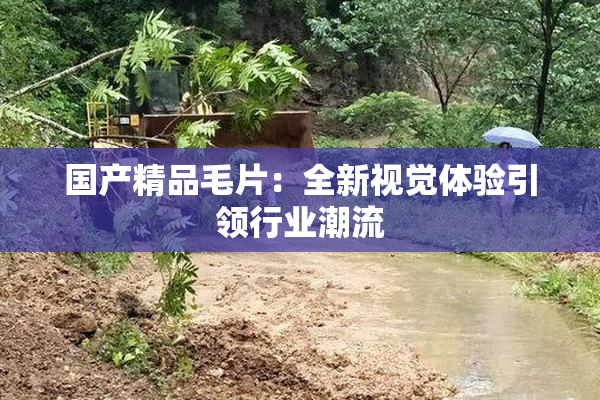 国产精品毛片：全新视觉体验引领行业潮流