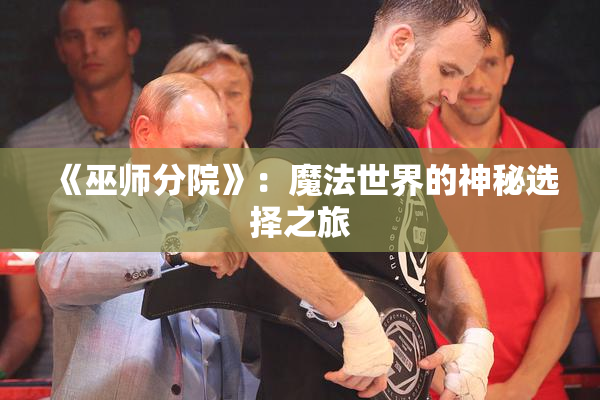 《巫师分院》：魔法世界的神秘选择之旅