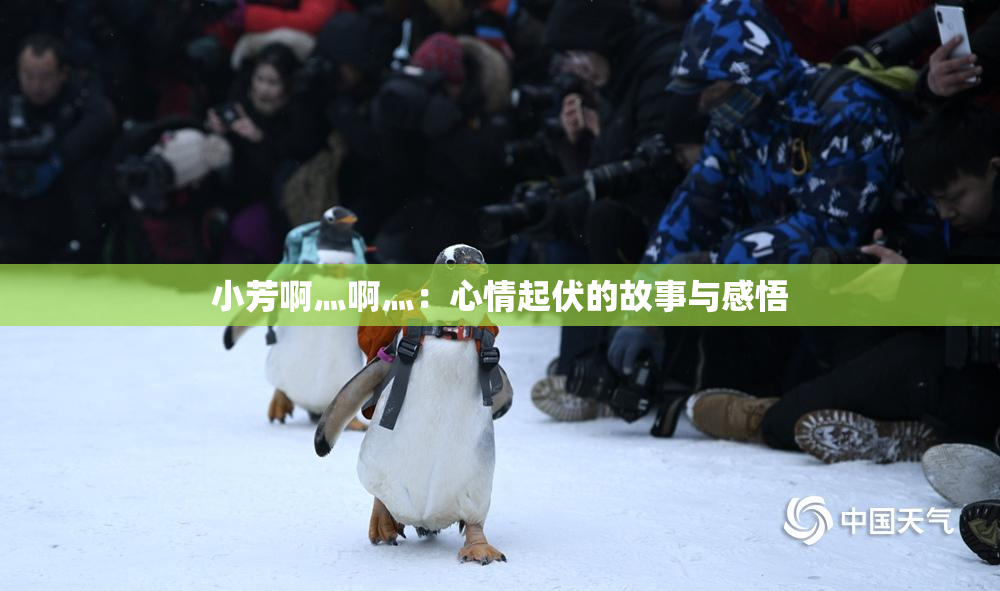 小芳啊灬啊灬：心情起伏的故事与感悟