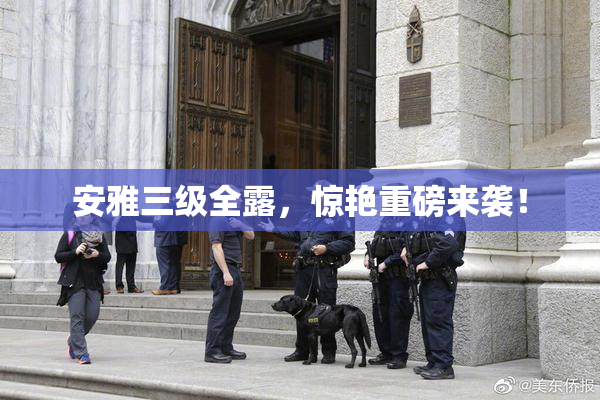 安雅三级全露，惊艳重磅来袭！