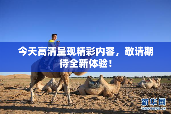 今天高清呈现精彩内容，敬请期待全新体验！