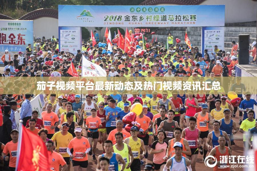 茄子视频平台最新动态及热门视频资讯汇总