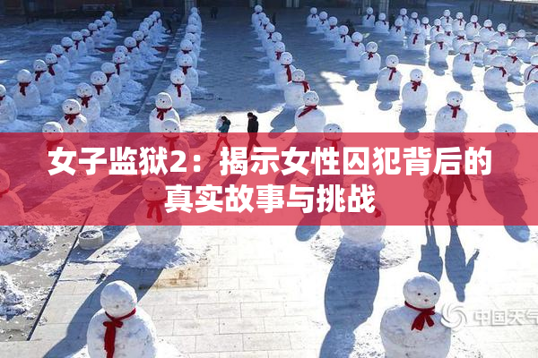 女子监狱2：揭示女性囚犯背后的真实故事与挑战