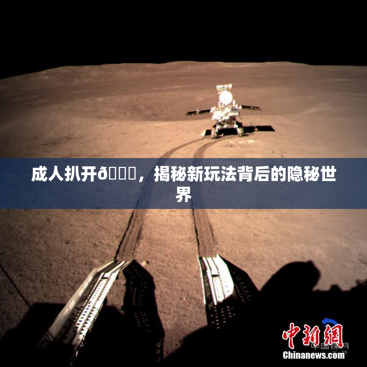 成人扒开🍑，揭秘新玩法背后的隐秘世界