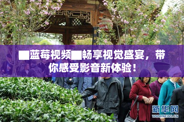 ▇蓝莓视频▇畅享视觉盛宴，带你感受影音新体验！
