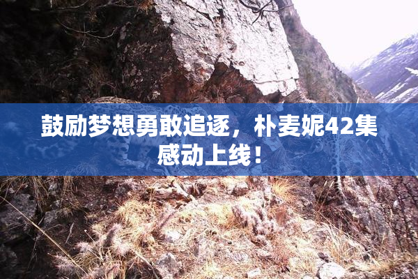 鼓励梦想勇敢追逐，朴麦妮42集感动上线！