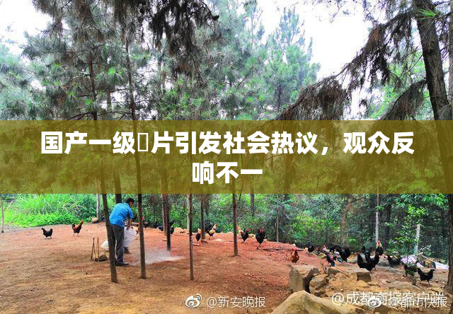 国产一级婬片引发社会热议，观众反响不一