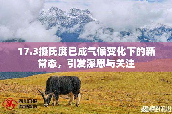17.3摄氏度已成气候变化下的新常态，引发深思与关注