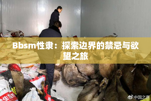 Bbsm性隶：探索边界的禁忌与欲望之旅