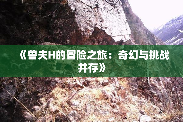 《兽夫H的冒险之旅：奇幻与挑战并存》