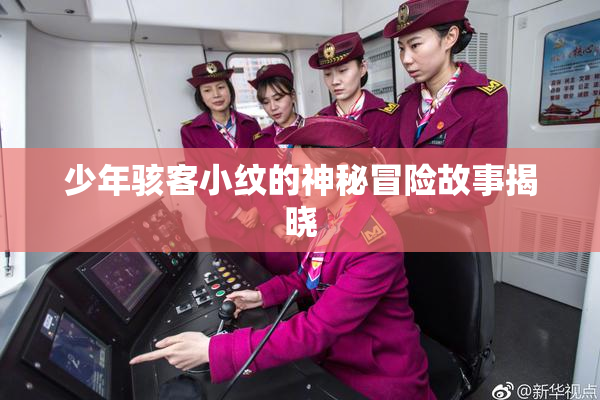 少年骇客小纹的神秘冒险故事揭晓