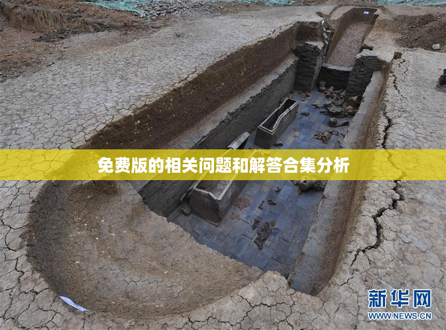 免费版的相关问题和解答合集分析