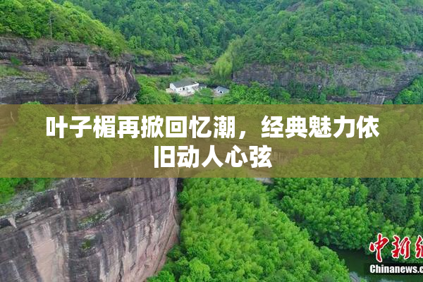 叶子楣再掀回忆潮，经典魅力依旧动人心弦
