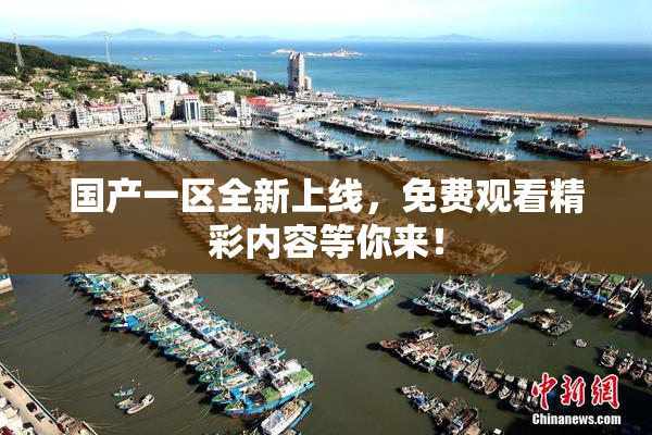 国产一区全新上线，免费观看精彩内容等你来！
