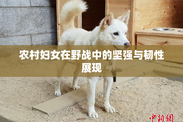 农村妇女在野战中的坚强与韧性展现