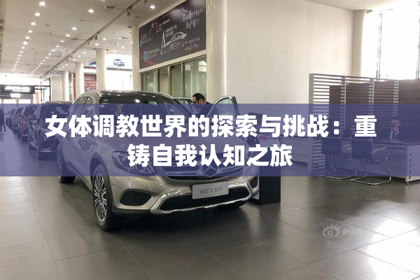 女体调教世界的探索与挑战：重铸自我认知之旅