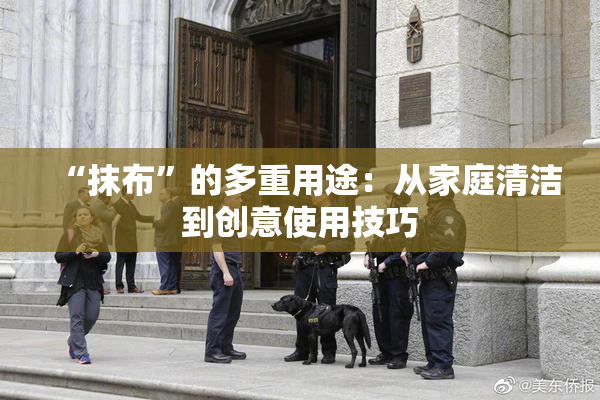 “抹布”的多重用途：从家庭清洁到创意使用技巧