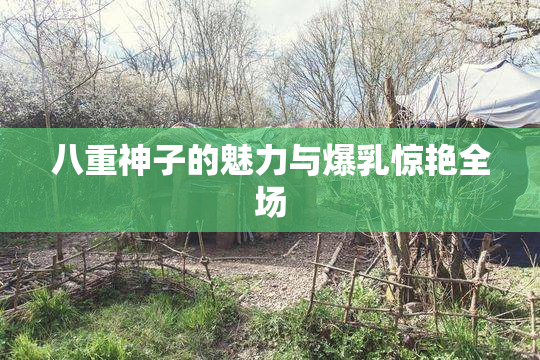 八重神子的魅力与爆乳惊艳全场