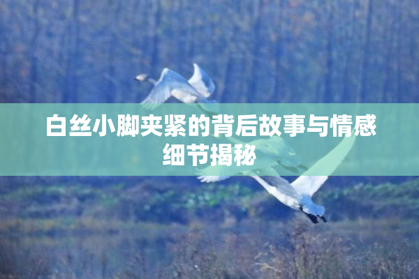白丝小脚夹紧的背后故事与情感细节揭秘