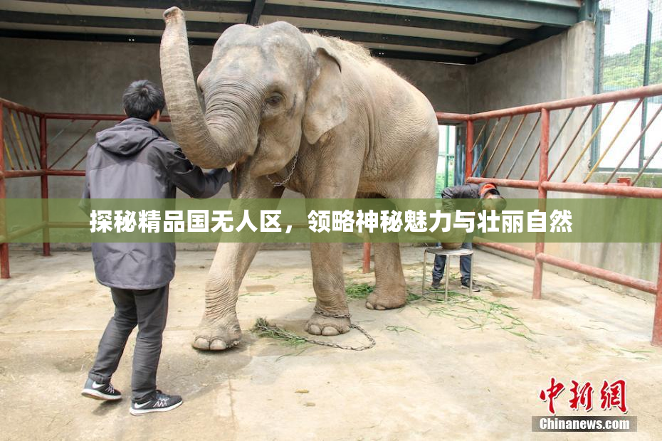 探秘精品国无人区，领略神秘魅力与壮丽自然