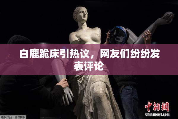 白鹿跪床引热议，网友们纷纷发表评论