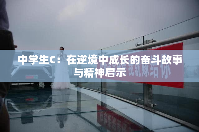 中学生C：在逆境中成长的奋斗故事与精神启示